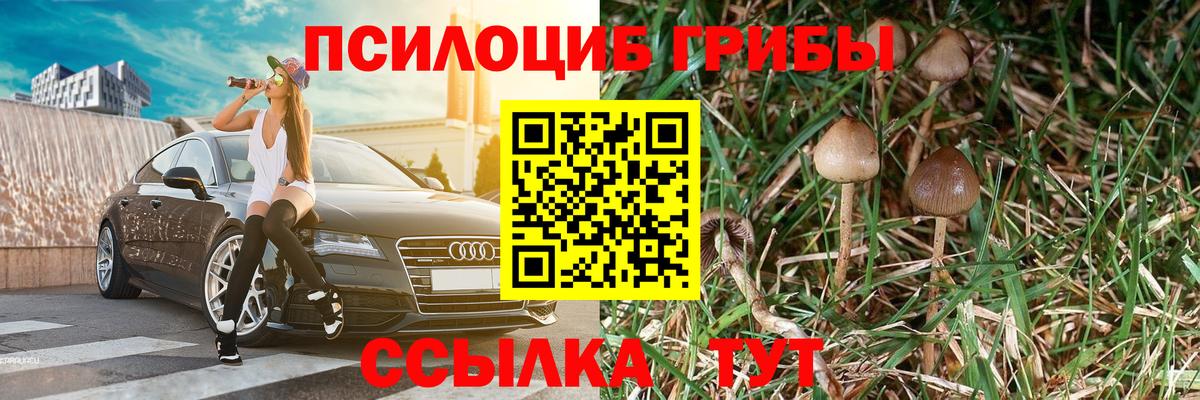Гусь-Хрустальный  закладки  Вход с VPN  Галлюциногенные грибы MAGIC MUSHROOMS  Галлюциногенные грибы Psilocybine cubensis 