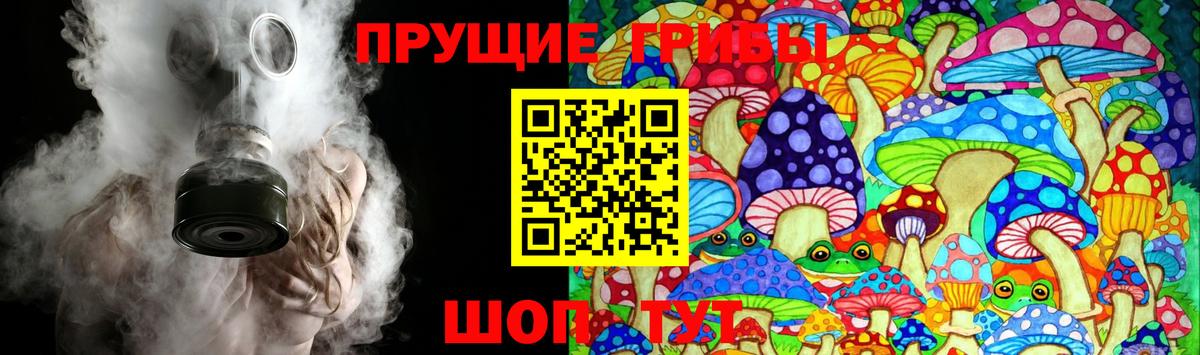Галлюциногенные грибы прущие грибы Гусь-Хрустальный